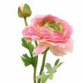 Floristik24 Ranuncolo fiore e bocciolo rosa artificiale 34cm