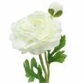 Floristik24 Ranuncolo fiore artificiale con bocciolo e bocciolo bianco H34cm