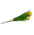 Floristik24 Bouquet di ranuncoli con erba 35 cm giallo