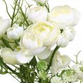 Floristik24 Ranunculus Bouquet Fiori Artificiali Fiori di Seta Bianco L37cm