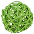 Floristik24 Rattanball verde chiaro Ø6cm 6 pezzi