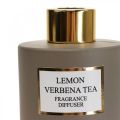 Floristik24 Diffusore di fragranze per ambienti in bastoncini di profumo Lemon Verbena Tea 75ml