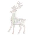 Renne decorative in acrilico per albero di Natale, 14 cm, 4 pezzi | Floristik24.it