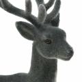 Floristik24 Deco cervo floccato grigio 20 cm 2 pezzi