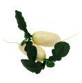 Floristik24 Ravanello bianco con foglie 12 cm 3 pezzi
