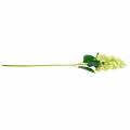 Floristik24 Ortensia a pannocchia artificiale, ortensia verde, fiore di seta di alta qualità 98 cm