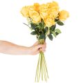 Rosa artificiale con stelo lungo, fiore artificiale, 62 cm, 12 pezzi | Floristik24.it