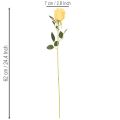 Rosa artificiale con stelo lungo, fiore artificiale, 62 cm, 12 pezzi | Floristik24.it