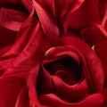 Rosa artificiale con gambo lungo, fiore artificiale rosso, 62 cm, 12 pezzi | Floristik24.it