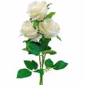 Floristik24 Rosa bianca su stelo Fiore di seta Rosa artificiale 3 pezzi
