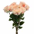 Floristik24 Bouquet di rose artificiali albicocca 8 pezzi