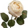 Floristik24 Rosa color crema, fiore di seta, rosa artificiale L74cm Ø7cm
