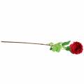 Floristik24 Rosa fiore artificiale rosso 72 cm