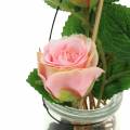 Floristik24 Rosa nel bicchiere rosa H23cm