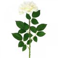 Floristik24 Fiore di seta, rosa su stelo, pianta artificiale bianco crema, rosa L72cm Ø13cm