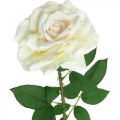Floristik24 Fiore di seta, rosa su stelo, pianta artificiale bianco crema, rosa L72cm Ø13cm