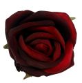 Floristik24 Testa di rosa Ø6,5cm Rosso scuro 8 pezzi