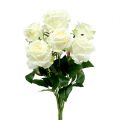 Floristik24 Mazzo di rose bianche, crema 55cm