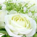 Floristik24 Bouquet di rose con gypsophila bianco 26 cm