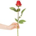 Ramo di rosa artificiale in seta, rosa rossa, 72 cm, 3 pezzi | Floristik24.it