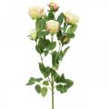 Floristik24 Ramo di rose, rose di seta, ramo artificiale rosa, crema L66cm Ø3/5cm