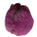 Floristik24 Cavolo rosso artificiale Real-Touch Ø12cm