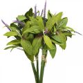 Floristik24 Mazzo di salvia artificiale, fiori di seta, rami di salvia viola artificiale L26cm 4pz