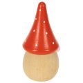 Mini statuette di gnomi in