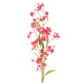 Floristik24 Ramo fiorito artificiale di orchidea Oncidium, decorazione 112 cm, 3 pezzi