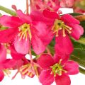 Ramo fiorito artificiale di orchidea Oncidium, decorazione 112 cm, 3 pezzi | Floristik24.it