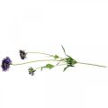 Floristik24 Mazzo di fiori artificiali Scabious viola H64cm con 3 pezzi