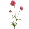Floristik24 Decorazione floreale artificiale, fiore artificiale scabious rosa 64 cm fascio di 3 pezzi