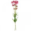 Floristik24 Decorazione floreale artificiale, fiore artificiale scabious rosa 64 cm fascio di 3 pezzi