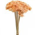 Floristik24 Achillea fiori artificiali artificiali arancione 50 cm 5 pezzi in mazzo