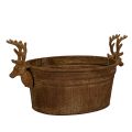 Floristik24 Ciotola decorativa a forma di testa di renna, ovale, color ruggine, rustica, 41 cm