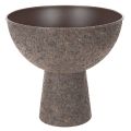 Floristik24 Vaso rotondo con supporto, vaso moderno, 25 cm