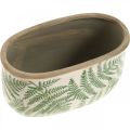 Floristik24 Ciotola per piante felce vaso ovale in ceramica 20×10×13,5 cm 2pz