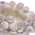 Floristik24 Ciotola decorativa uva grigio porpora crema 19×14 cm H9,5 cm