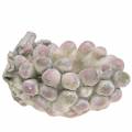 Ciotola decorativa uva grigio porpora crema 19×14 cm H9,5 cm