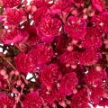 Ghirlanda di fiori artificiali, decorazione con gypsophila, 30 cm | Floristik24.it