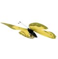 Floristik24 Farfalla gialla sulla clip 11 cm 6 pezzi