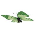 Floristik24 Farfalla verde su clip 10 cm - 11 cm 6 pezzi