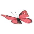 Floristik24 Farfalla rosa su clip 11 cm 6 pezzi