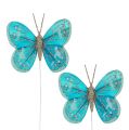 Floristik24 Farfalle decorative turchesi con glitter 7cm 4 pezzi