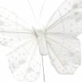 Floristik24 Farfalla piuma su filo bianco con glitter 10cm 12 pezzi