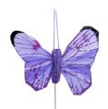 Floristik24 Farfalla 5cm rosa-viola specie. 24st