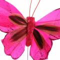 Floristik24 Farfalla piuma con filo 7cm rosa viola 24pz