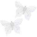 Farfalla piuma su clip bianca 10 cm 12 pz