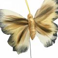 Floristik24 Farfalla decorativa, decorazione primaverile, falena su filo marrone, giallo, bianco 6×9cm 12pz