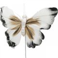 Floristik24 Farfalla decorativa, decorazione primaverile, falena su filo marrone, giallo, bianco 6×9cm 12pz